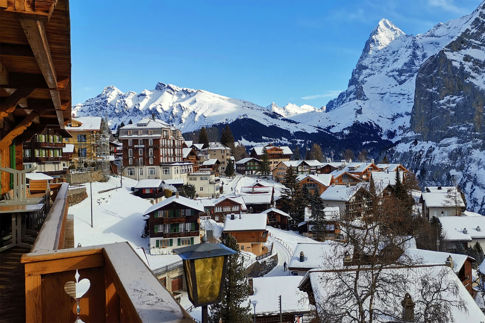 Marc's scientific background shaped those early tours into something richer than sightseeing.