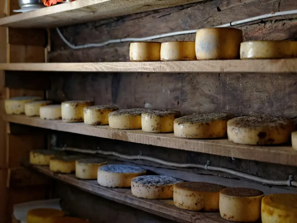 switzerland cheese