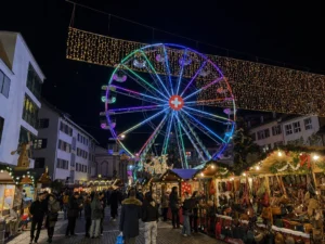 zurich winter private tour